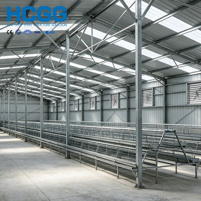 Qualité Maison de volaille à structure en acier conçue pour optimiser l'utilisation de l'espace et offrir un support structurel robuste pour les besoins de l'élevage intensif de volailles Usine